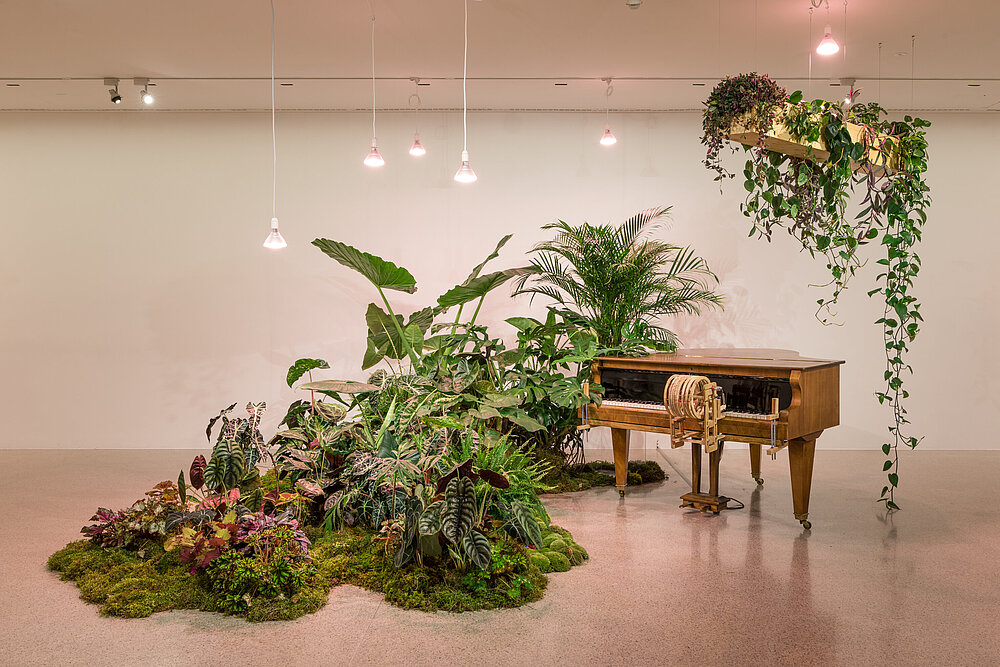 A piano in the showroom, almost overgrown by many plants from the left, more plants hanging from the ceiling.