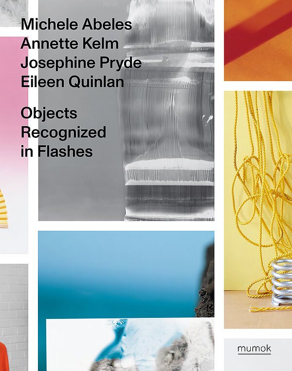 Cover der Publikation Objects Recognized in Flashes. Michele Abeles, Anette Kelm, Josephine Pryde, Eileen Quinlan 
